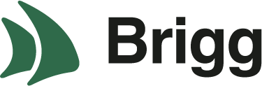 Brigg logo